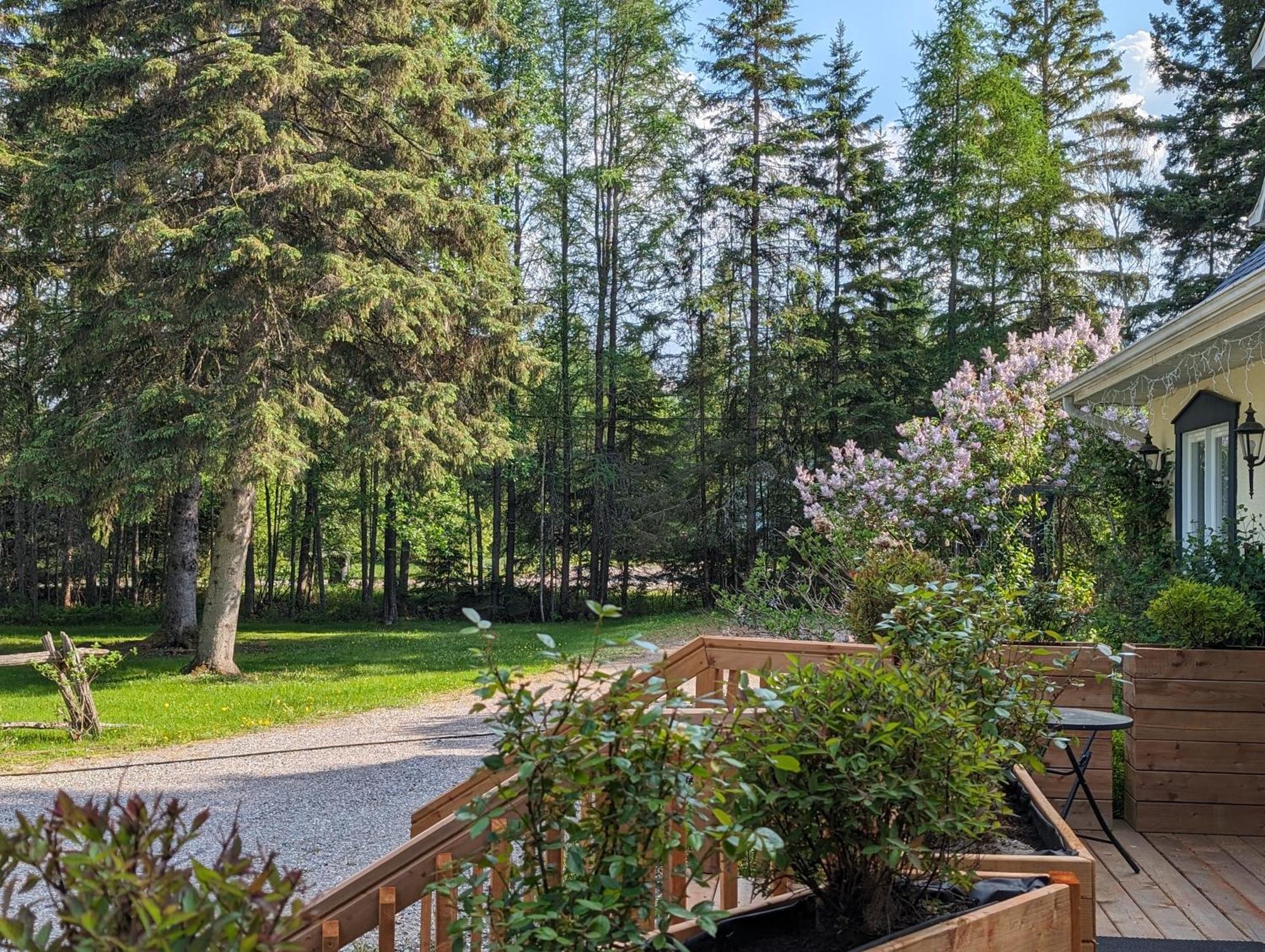 La Tremblante Panzió Mont-Tremblant Kültér fotó