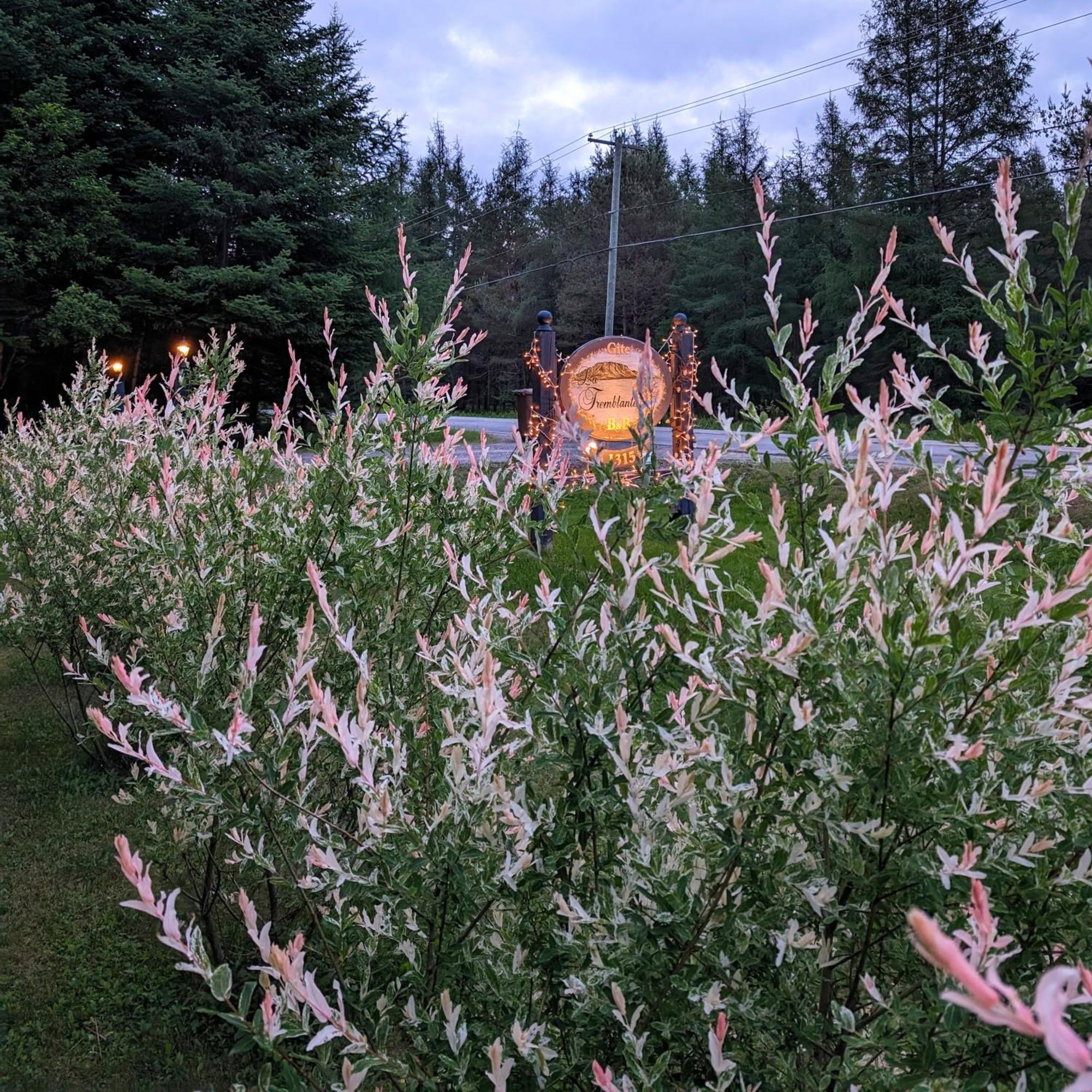 La Tremblante Panzió Mont-Tremblant Kültér fotó
