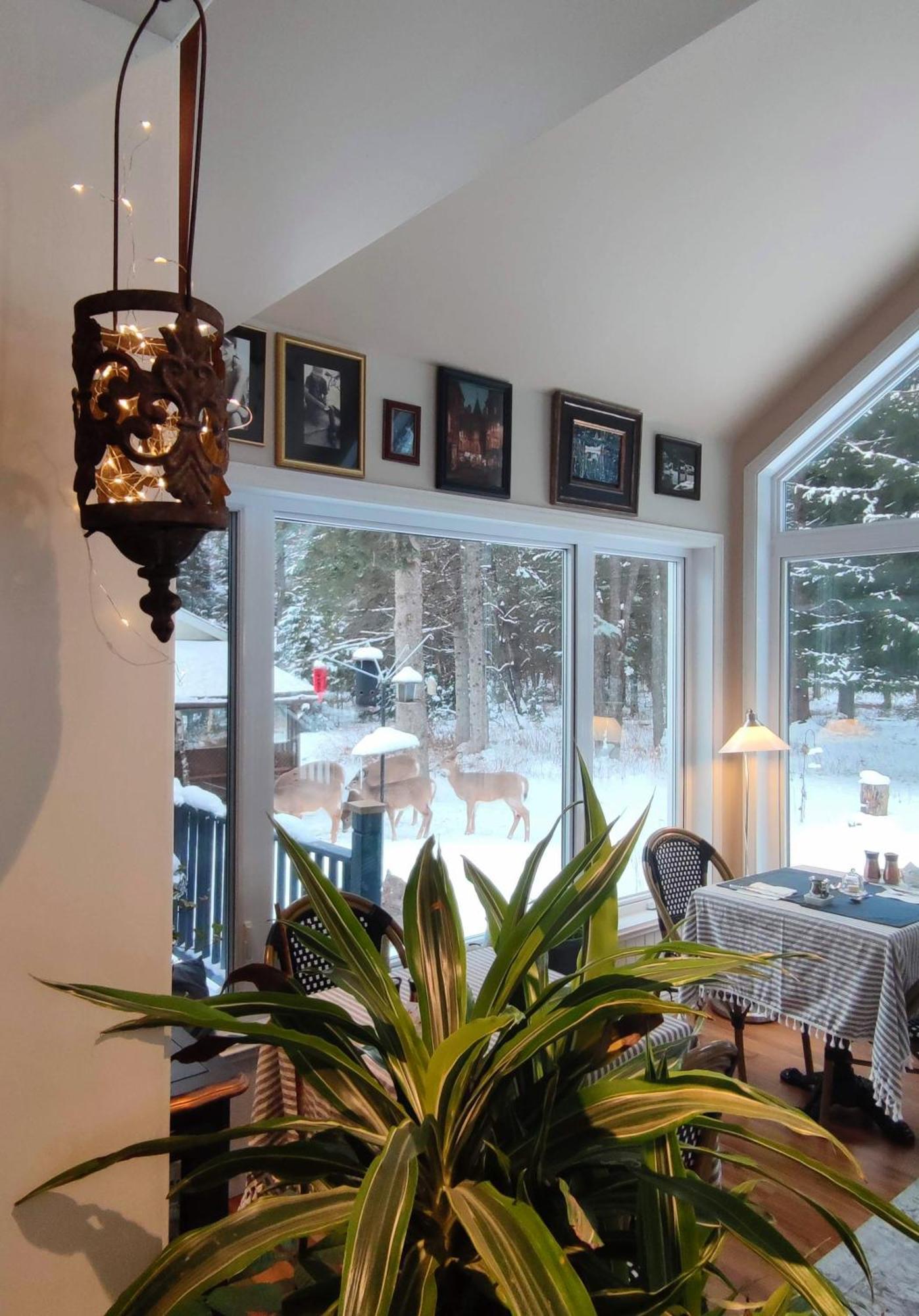 La Tremblante Panzió Mont-Tremblant Kültér fotó